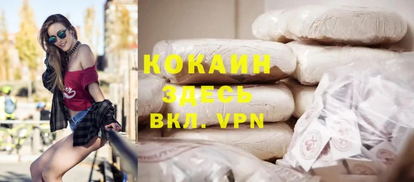 индика Абинск