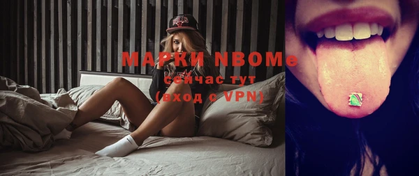 индика Абинск