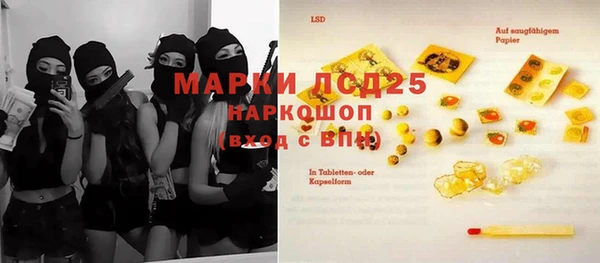 индика Абинск
