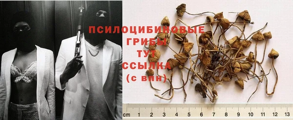 эйфоретик Алзамай