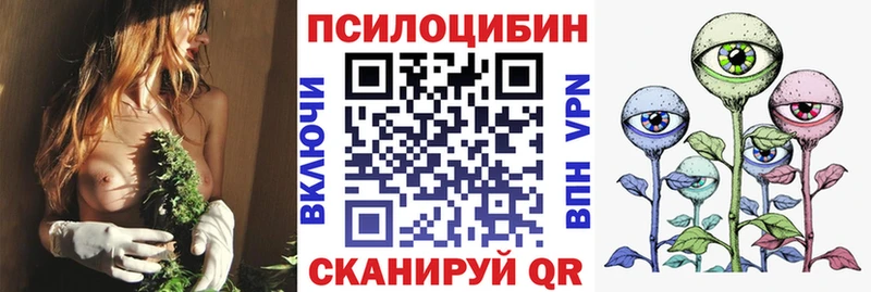 Галлюциногенные грибы Cubensis цена Ковдор